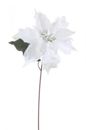 12x Pick Poinsettia Glaciers Bianco H40Cm