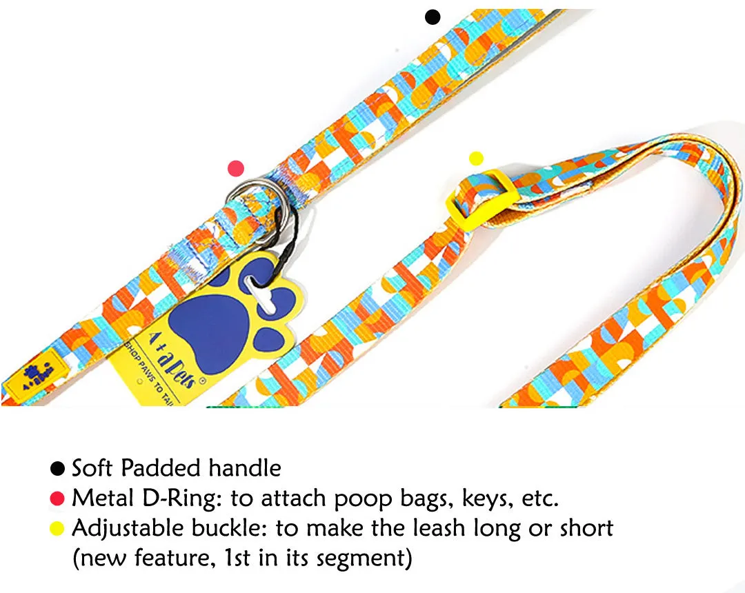 A a Pets' Leash in Tetris Design