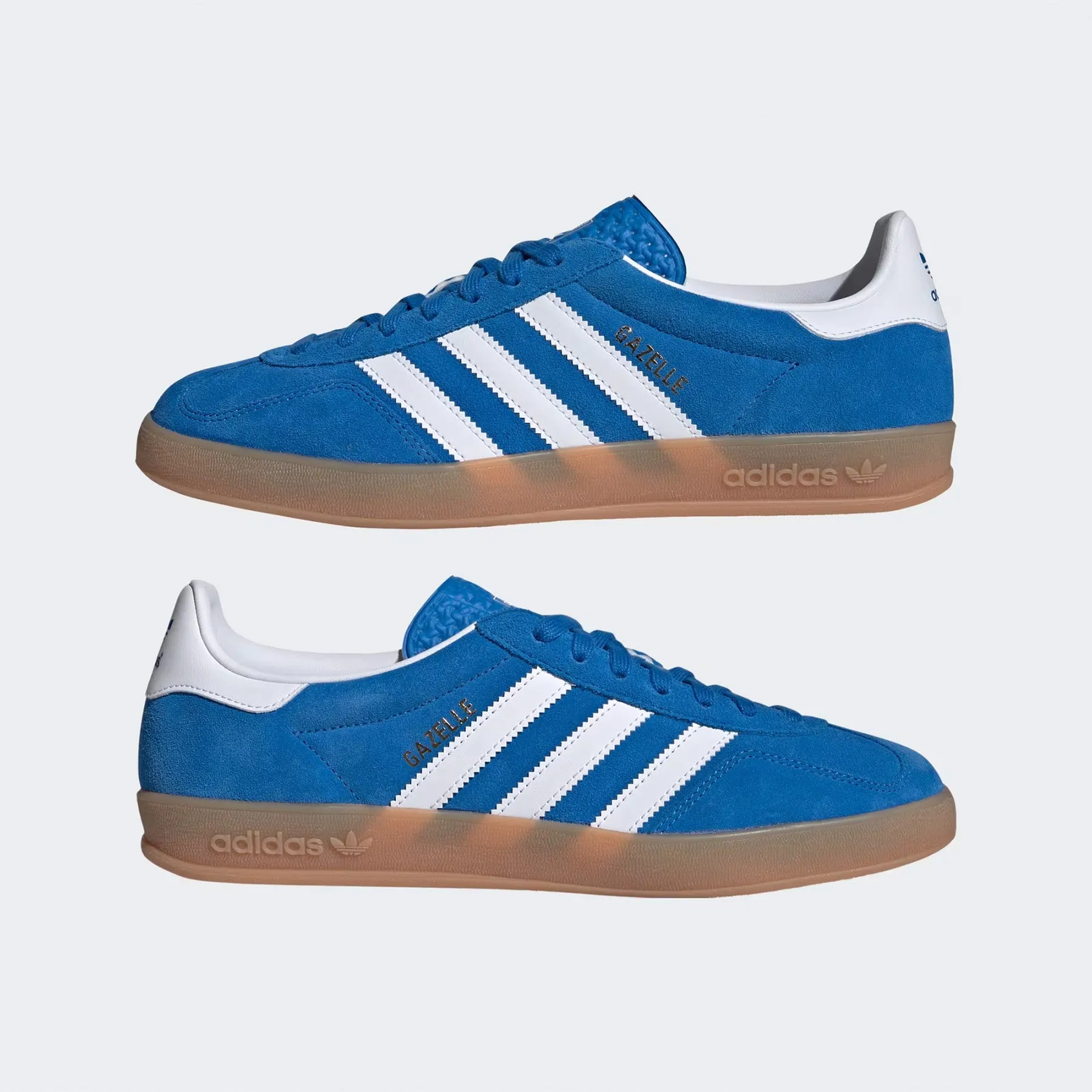 Adidas Gazelle : Blue Bird