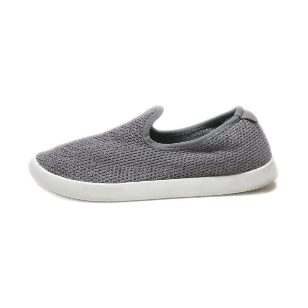 Allbirds Tree Loungers Sport Shoes Fabric Grey Colour For Women