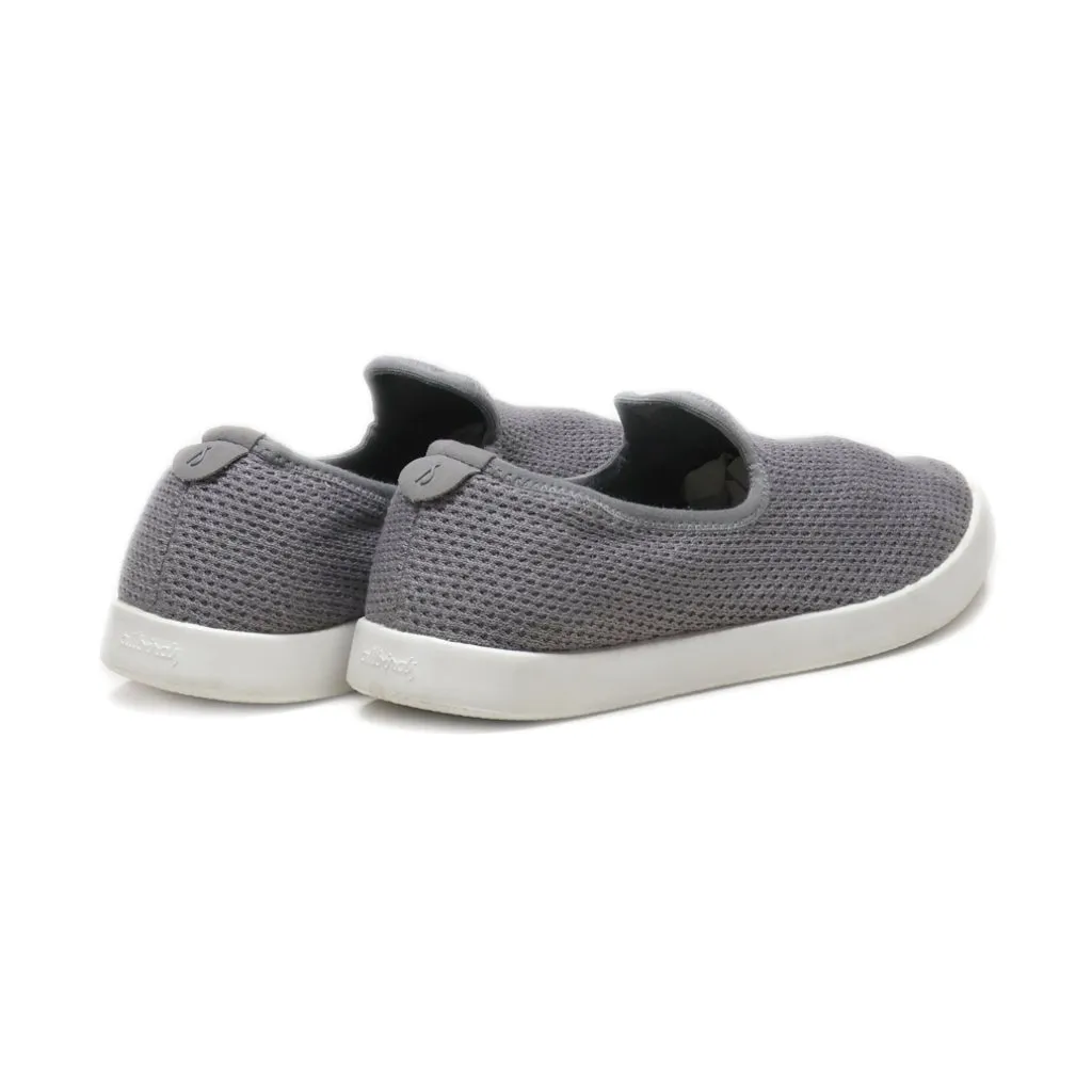 Allbirds Tree Loungers Sport Shoes Fabric Grey Colour For Women