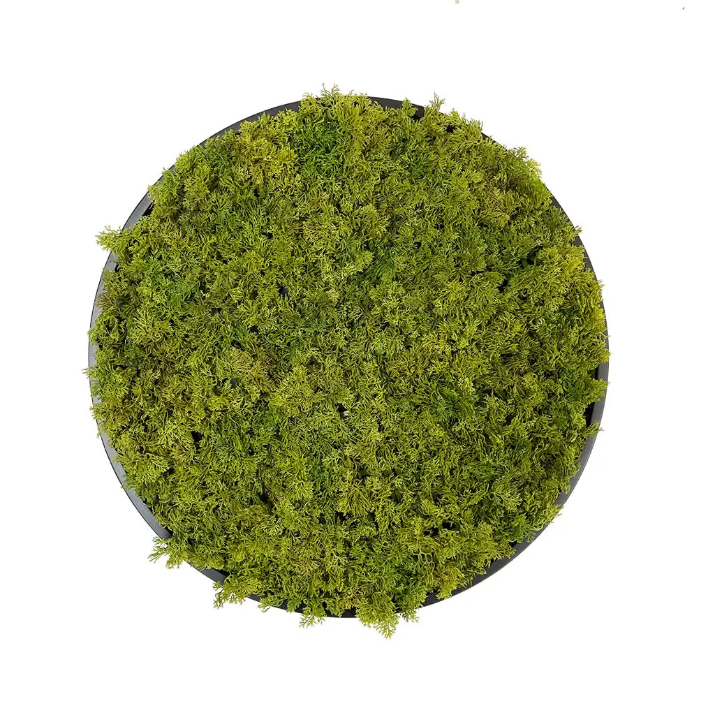 Artificial reindeer moss wall circular art panel MDF Black - 50cm