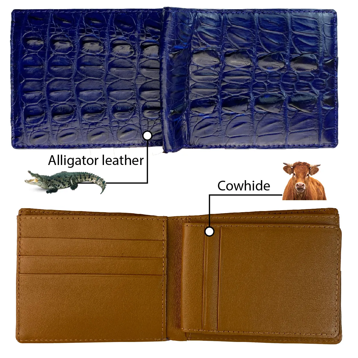 Blue Alligator Tail Leather Bifold Wallet For Men RFID Blocking | VINAM-107