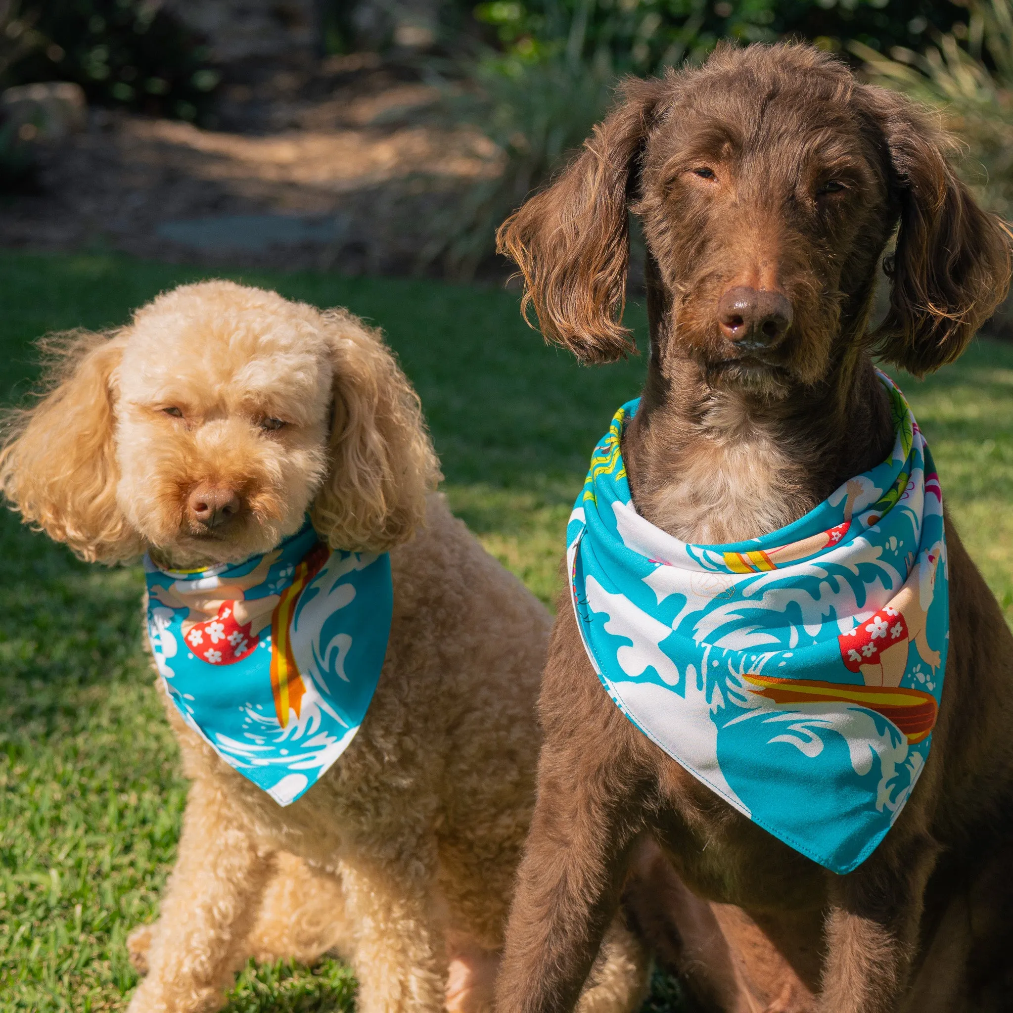 Blue Surfing Santa - Dog Bandana