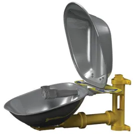 Bradley Wall Mounted Eyewash With Stainless Steel Bowl And Dust Cover