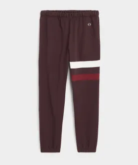 Champion Striped Sweatpant in Cordovan