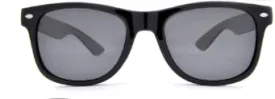 Classic Black Wayfarer Sunglasses