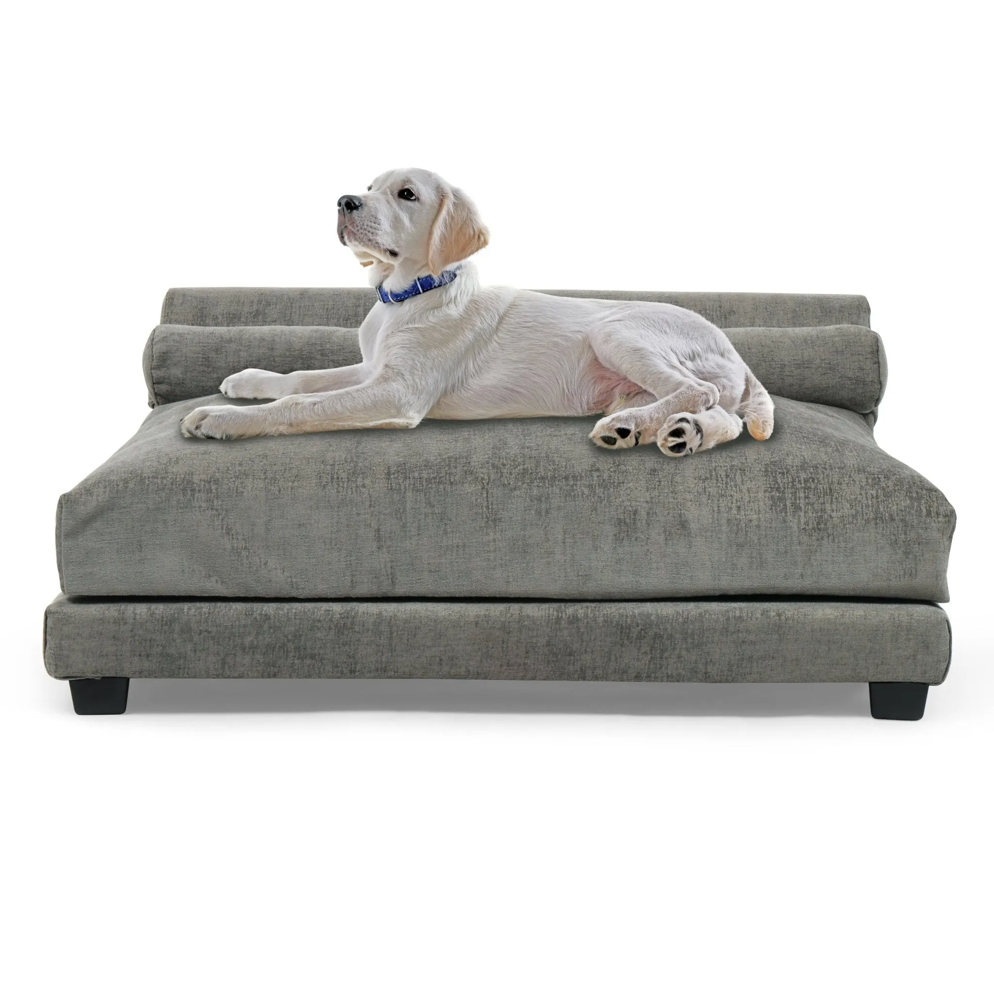 Club Nine Pets Roma Orthopedic Dog Bed in Steel