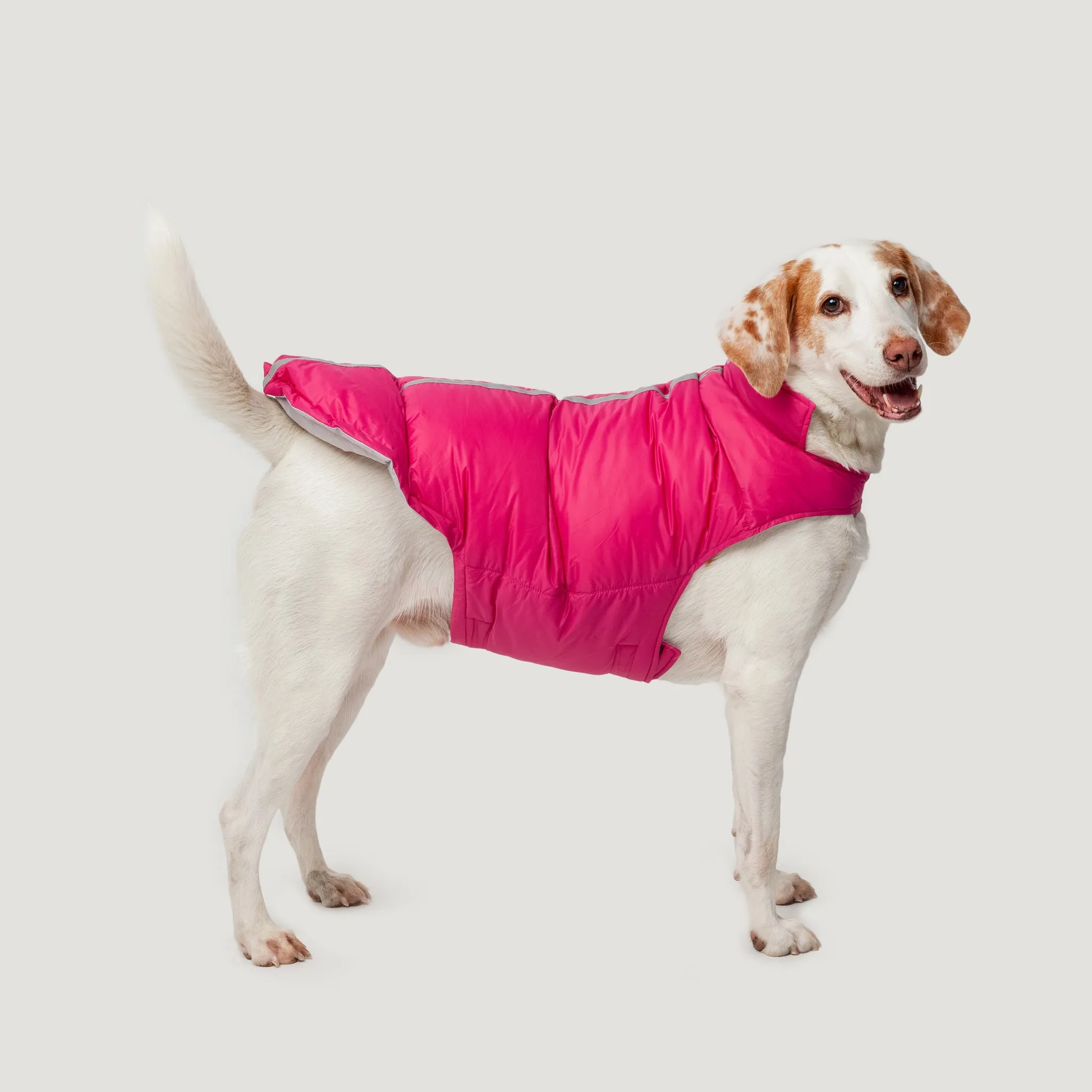 Dog Down Reversible Mock Jacket