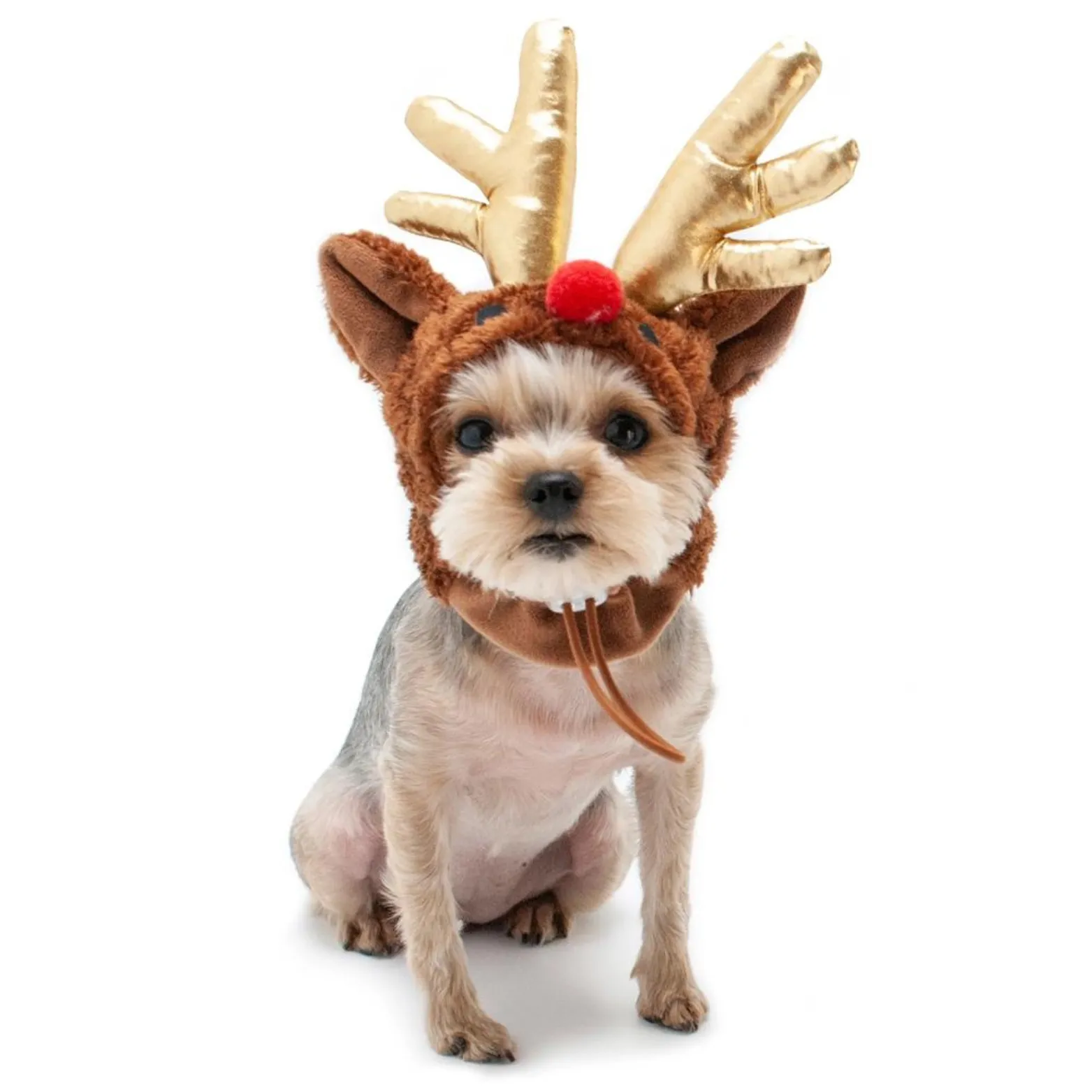 Dogo Pet Rudolph Hat for Dogs