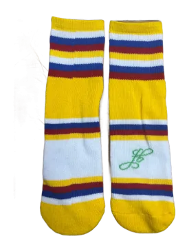 Foot Buddy Five Element Socks