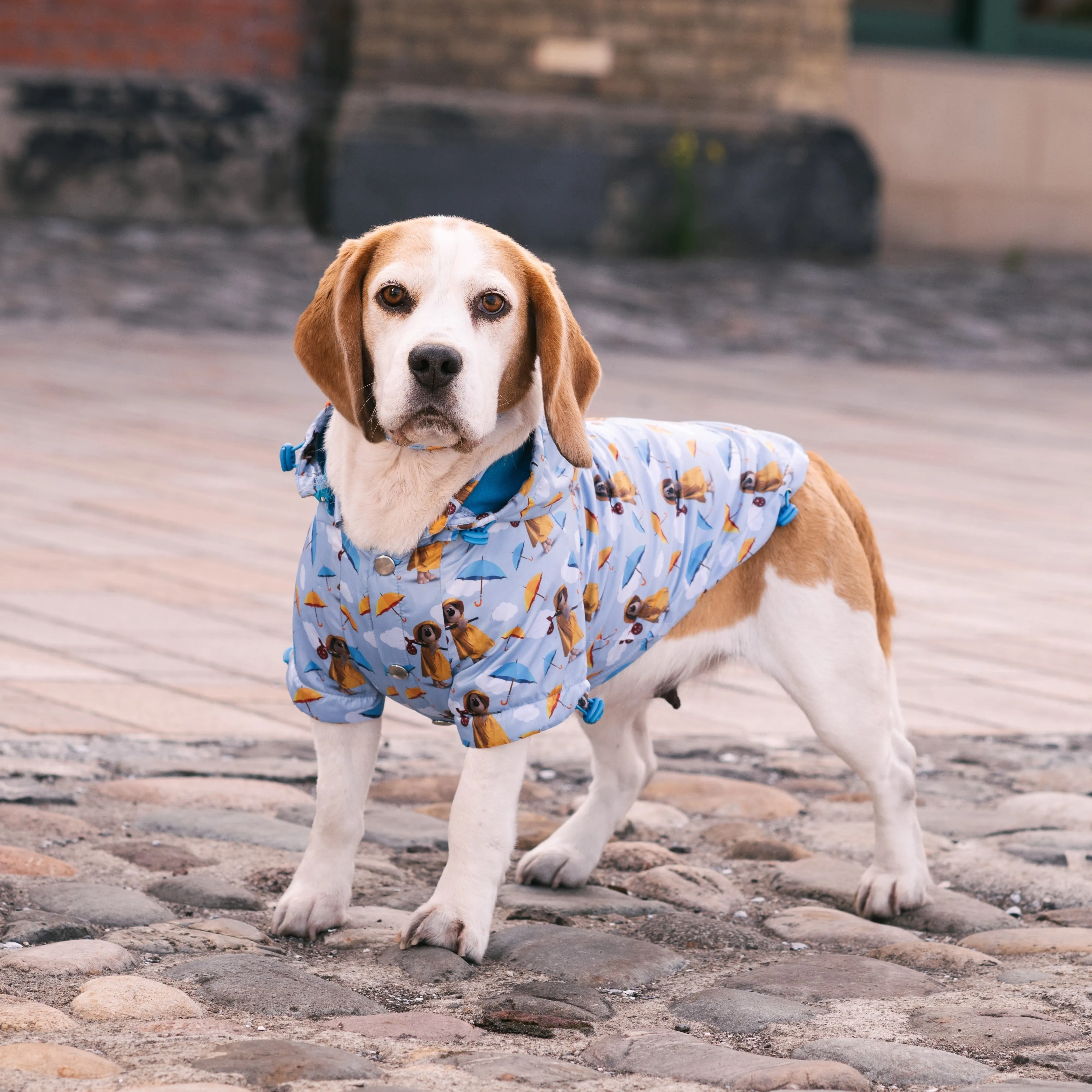 Gromit Dog Raincoat