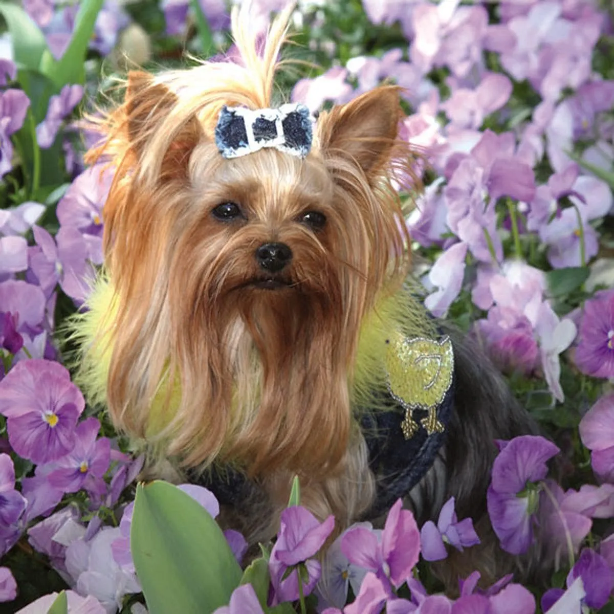 Hollywood Denim Dog Harness Vest With Boa Collar