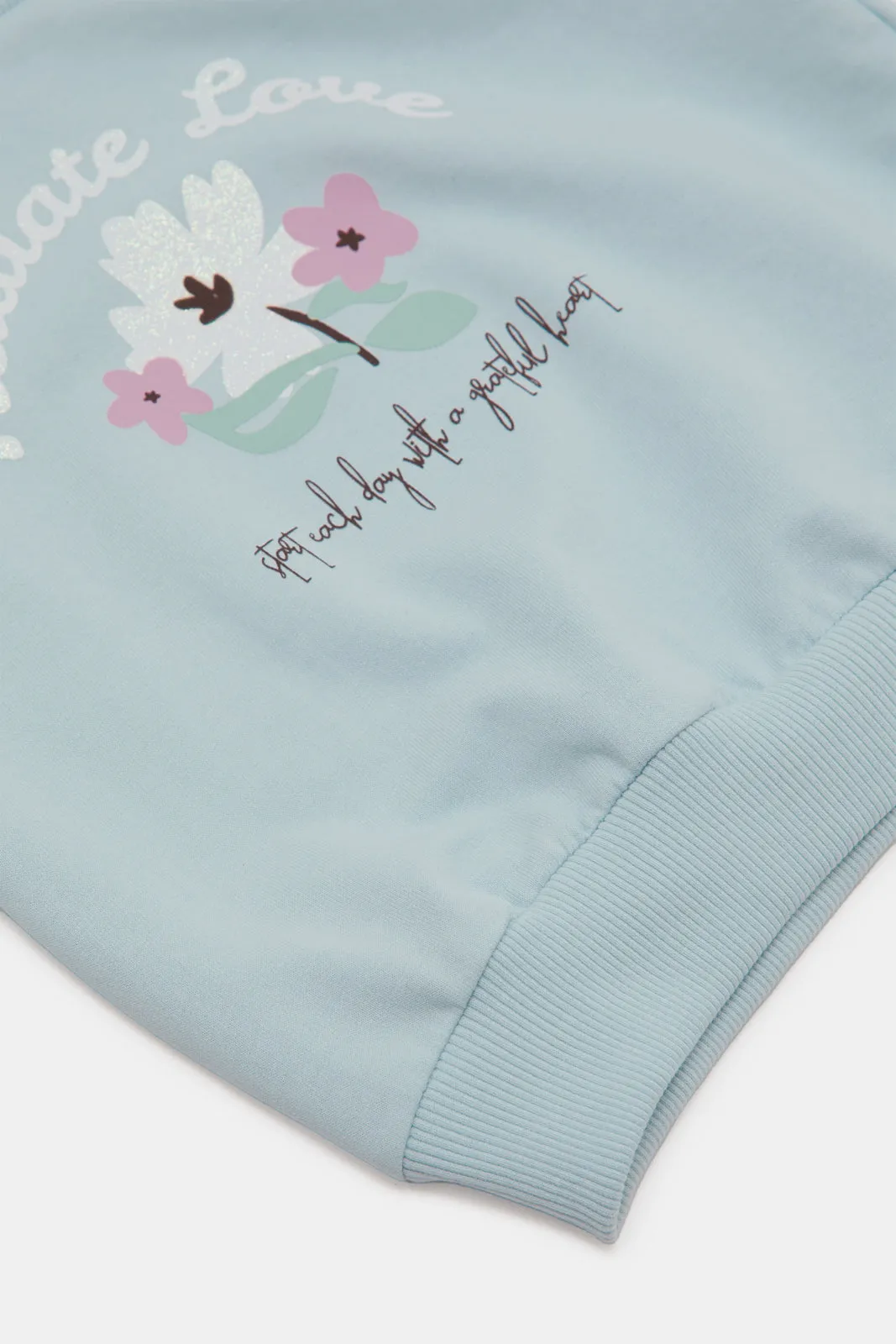 Infant Girls Blue Flower Print Sweatshirt