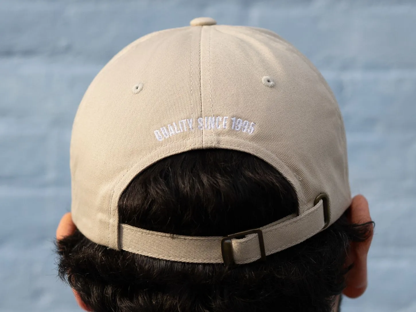 Intelli Dad Hat