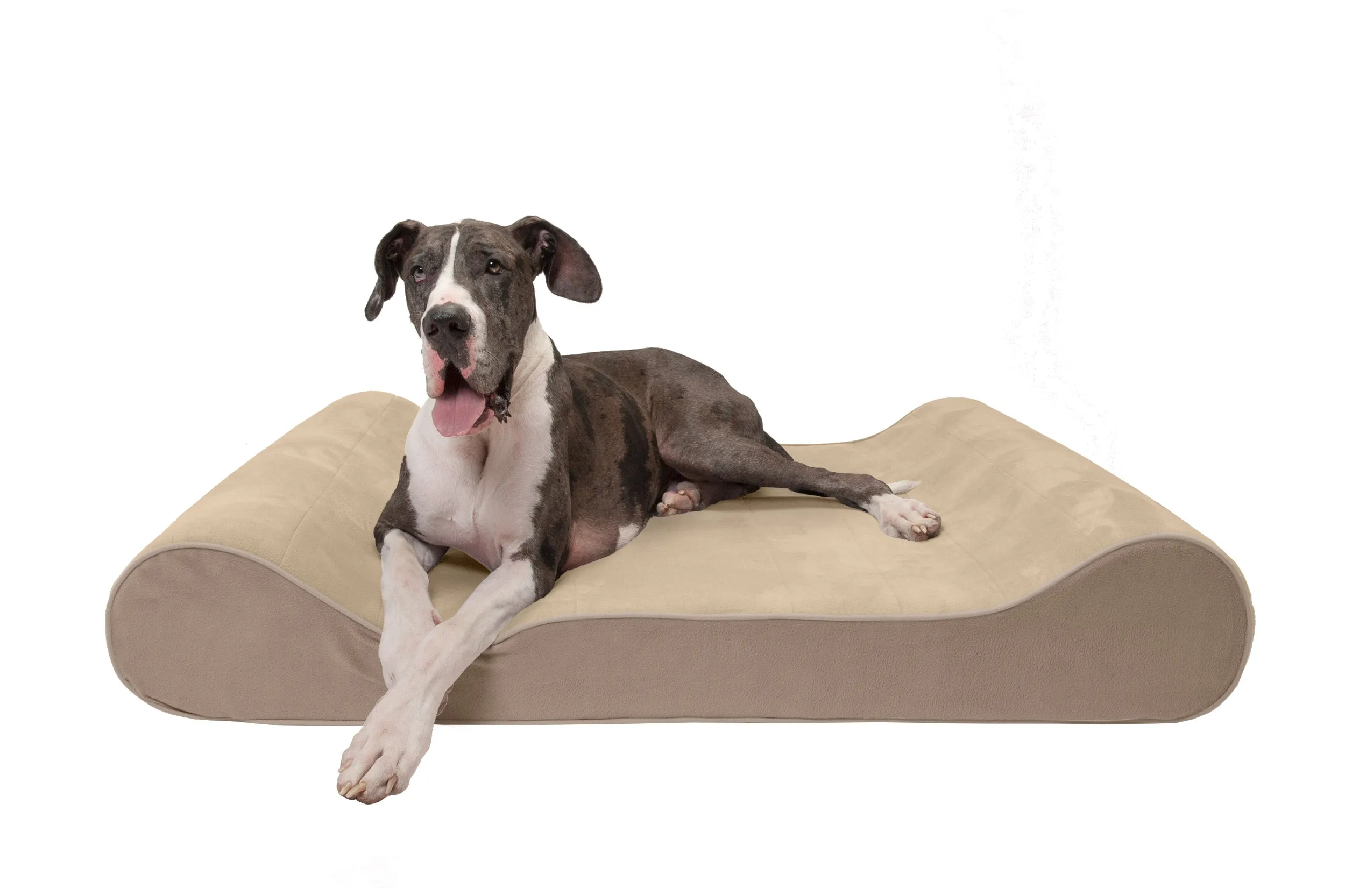 Luxe Lounger Contour Dog Bed - Microvelvet