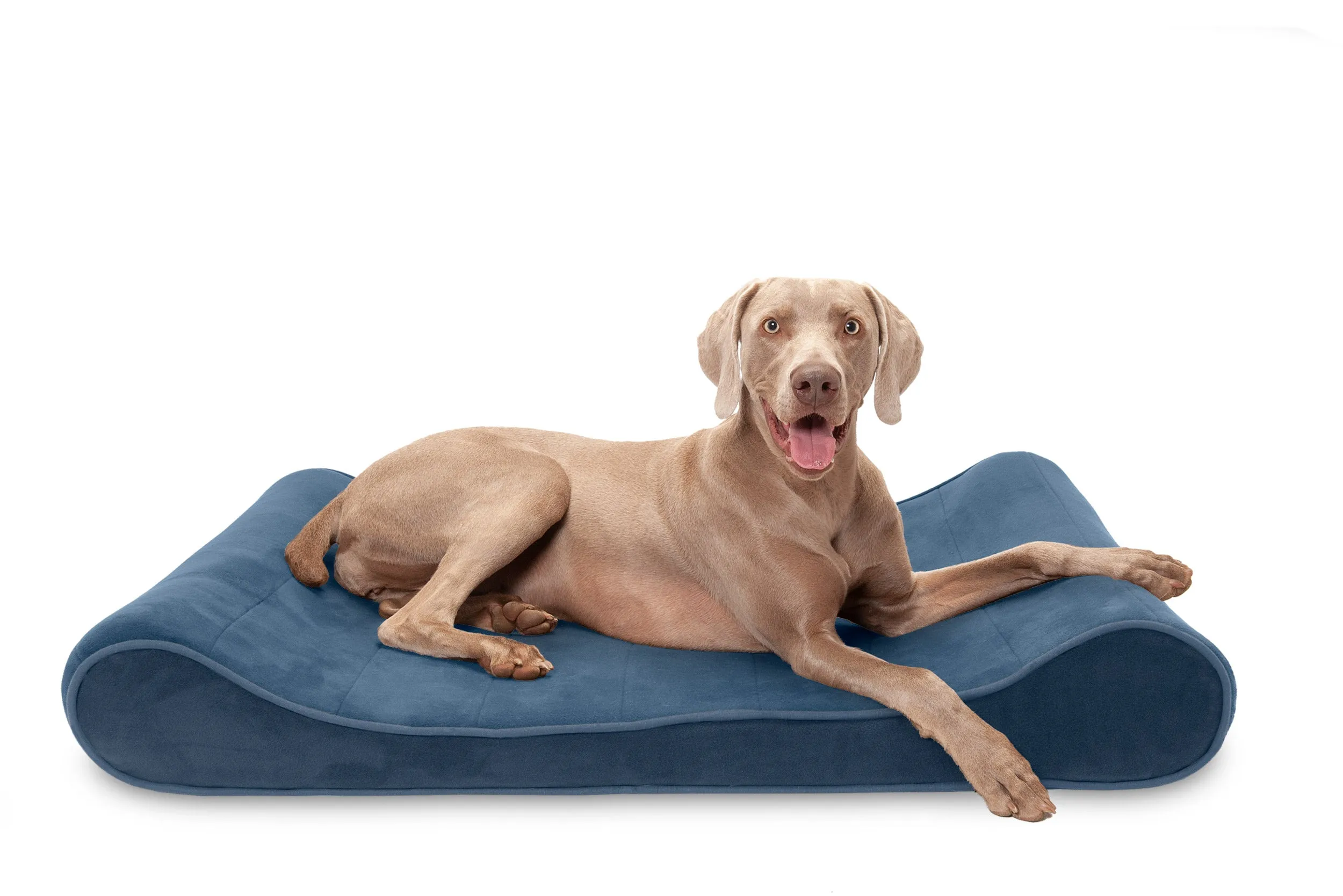 Luxe Lounger Contour Dog Bed - Microvelvet