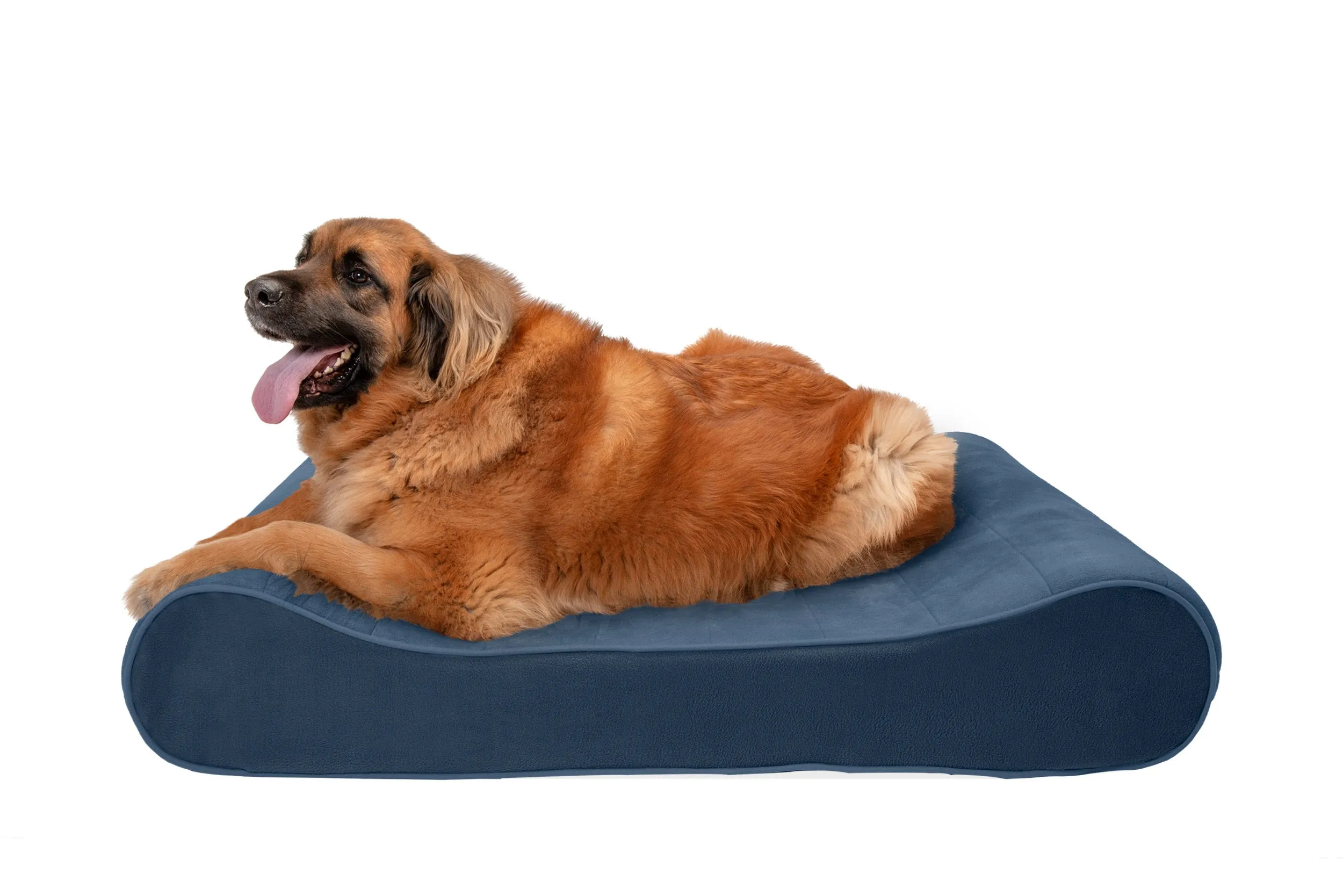 Luxe Lounger Contour Dog Bed - Microvelvet