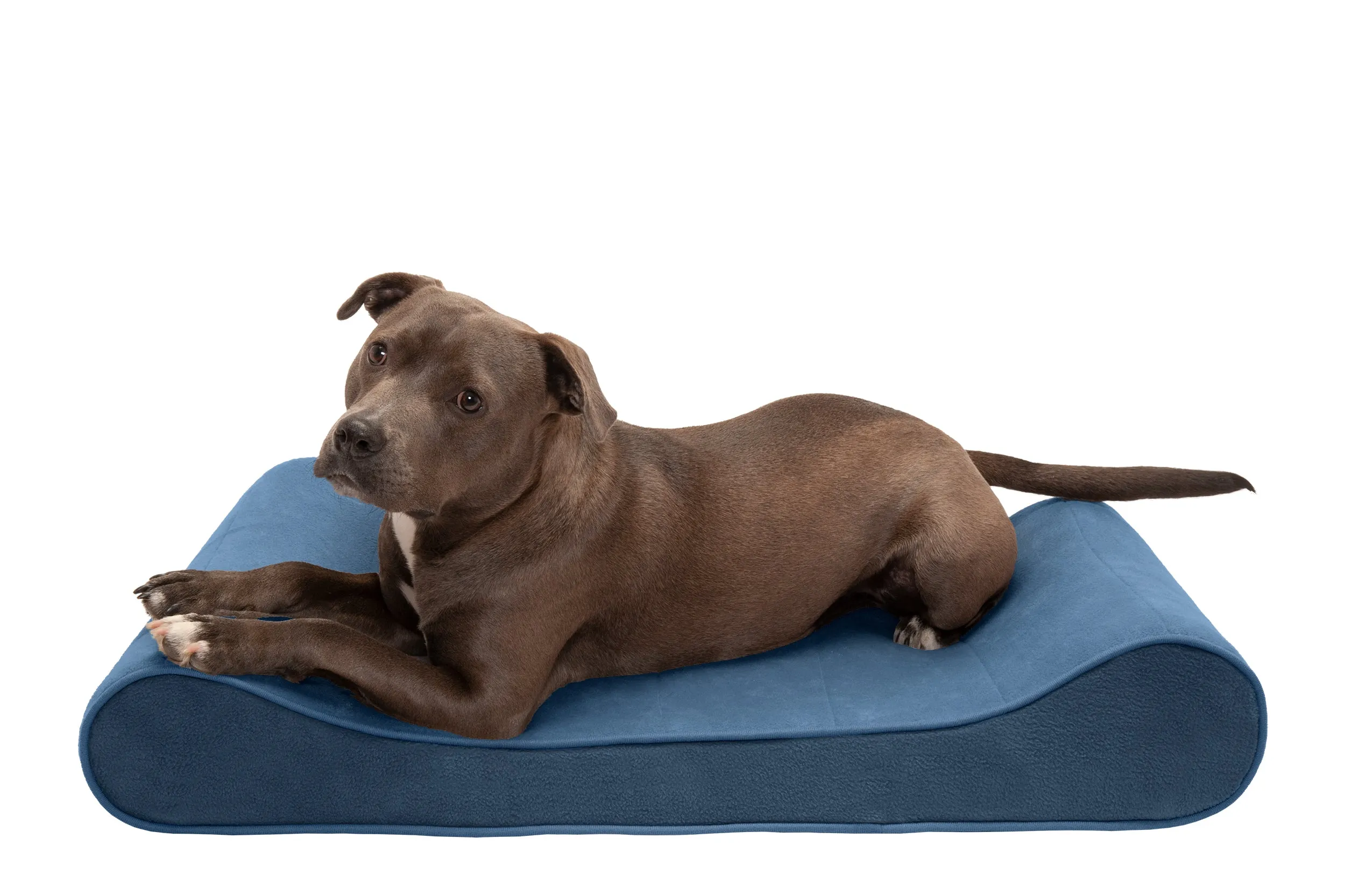 Luxe Lounger Contour Dog Bed - Microvelvet