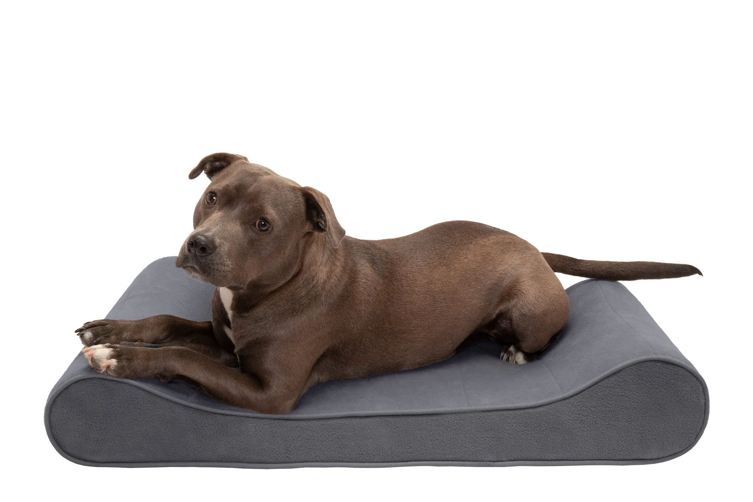 Luxe Lounger Contour Dog Bed - Microvelvet