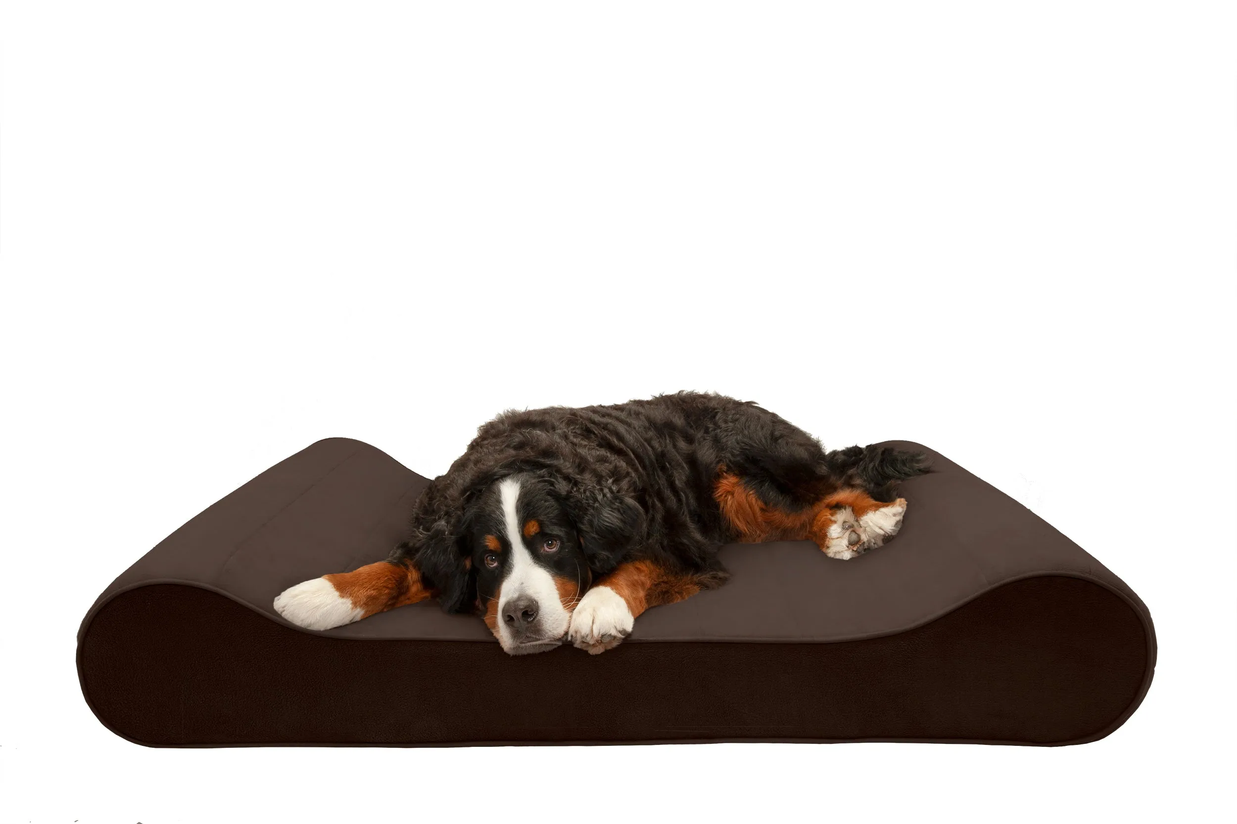 Luxe Lounger Contour Dog Bed - Microvelvet