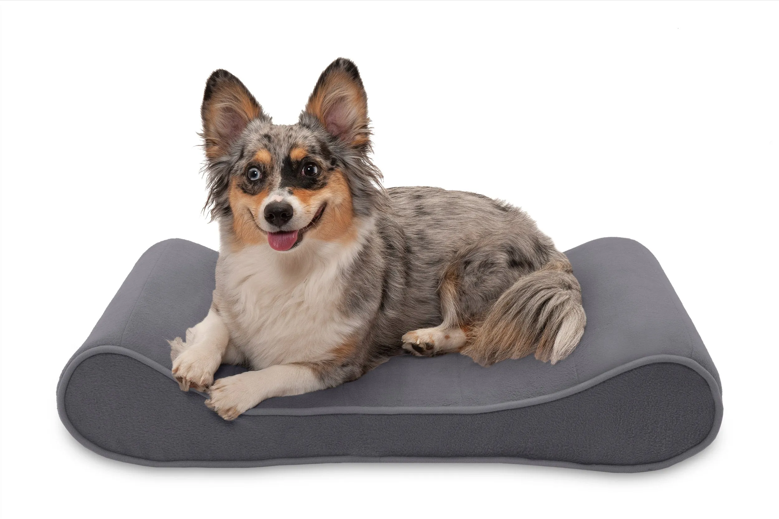 Luxe Lounger Contour Dog Bed - Microvelvet