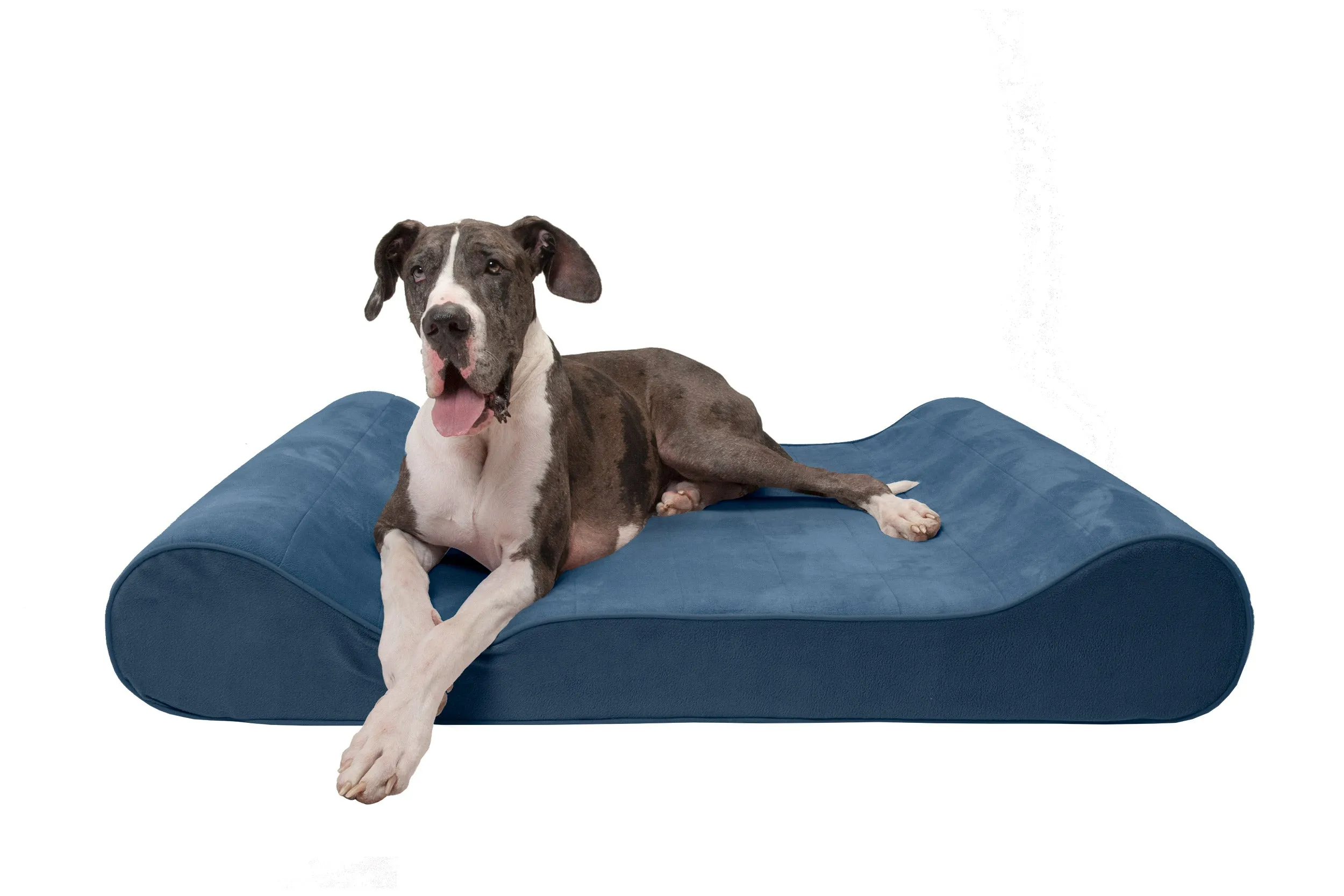 Luxe Lounger Contour Dog Bed - Microvelvet