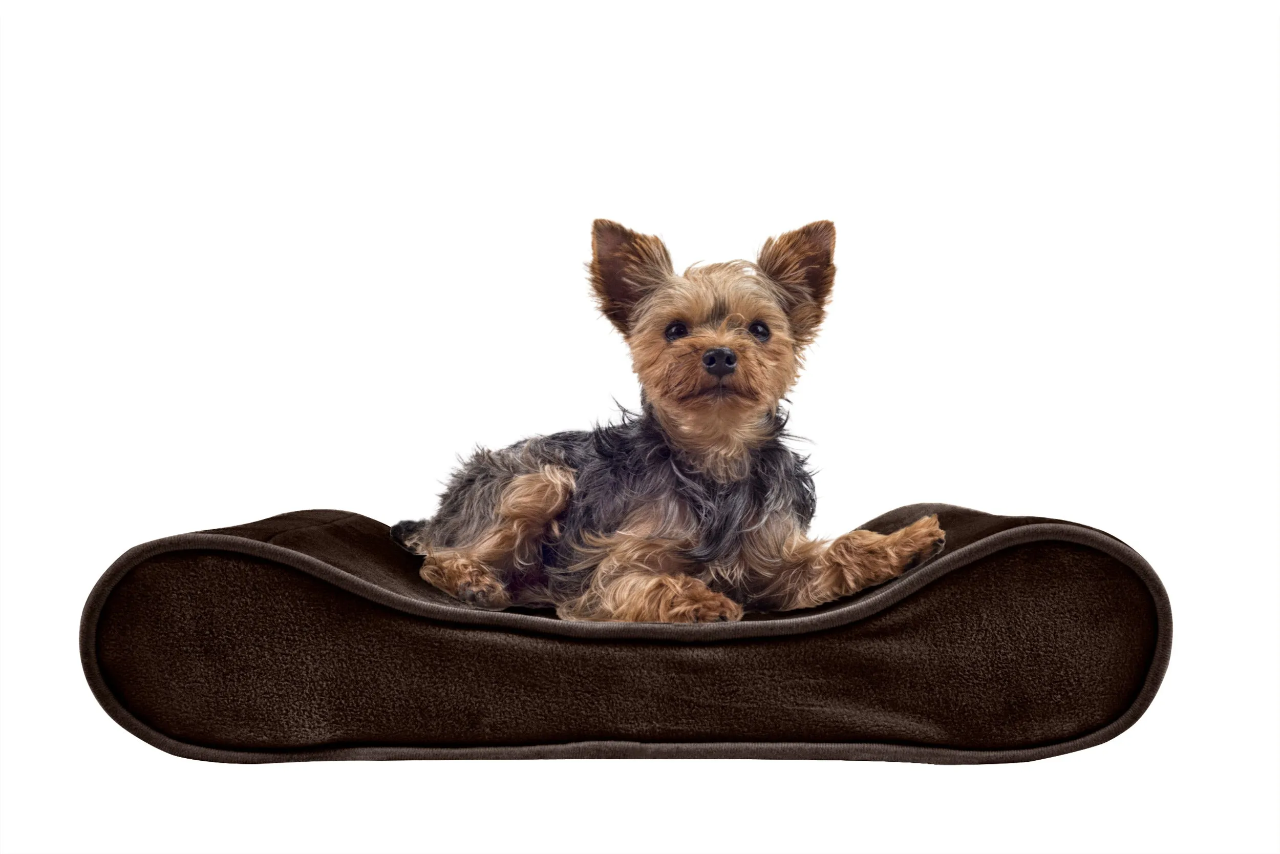 Luxe Lounger Contour Dog Bed - Microvelvet