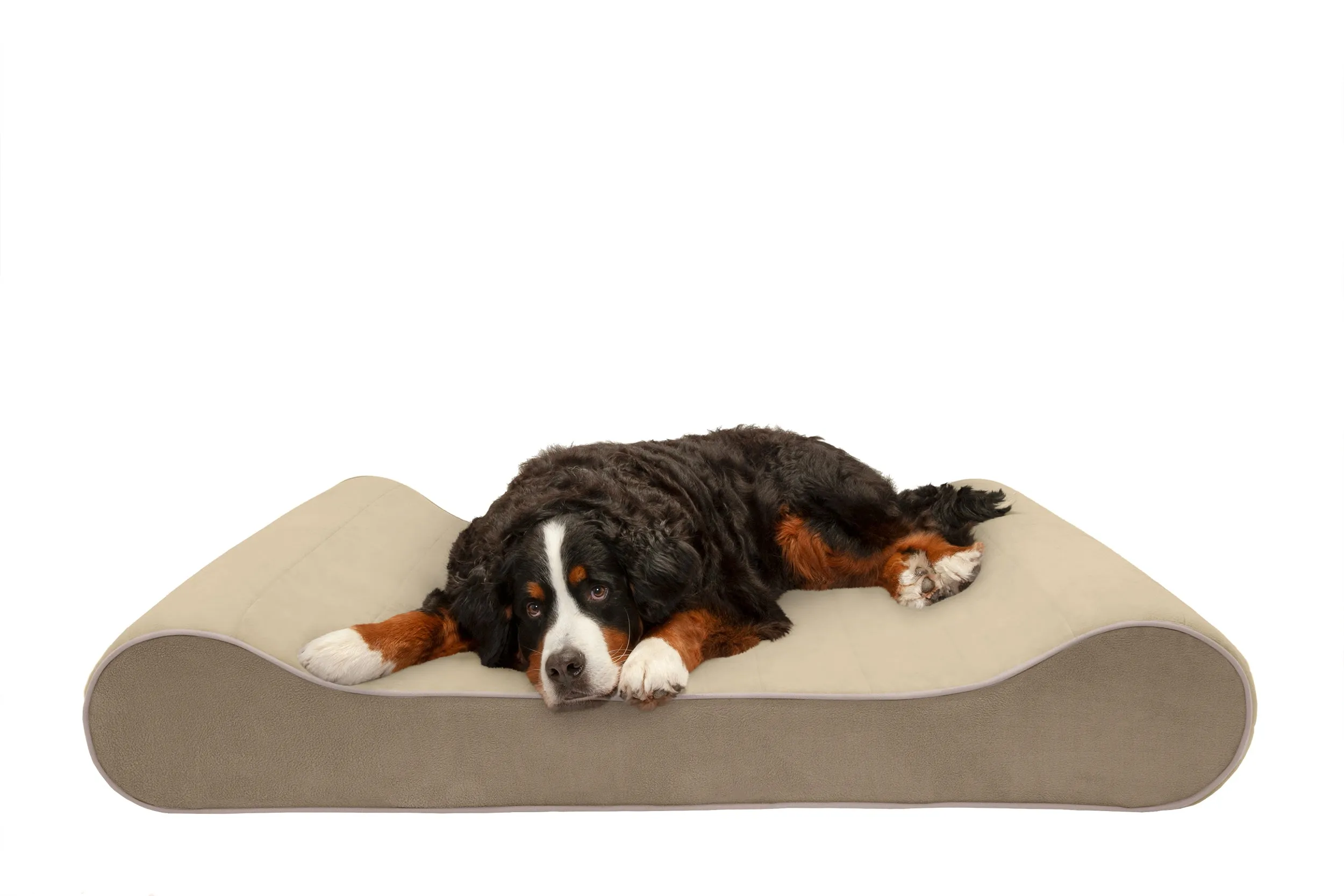 Luxe Lounger Contour Dog Bed - Microvelvet