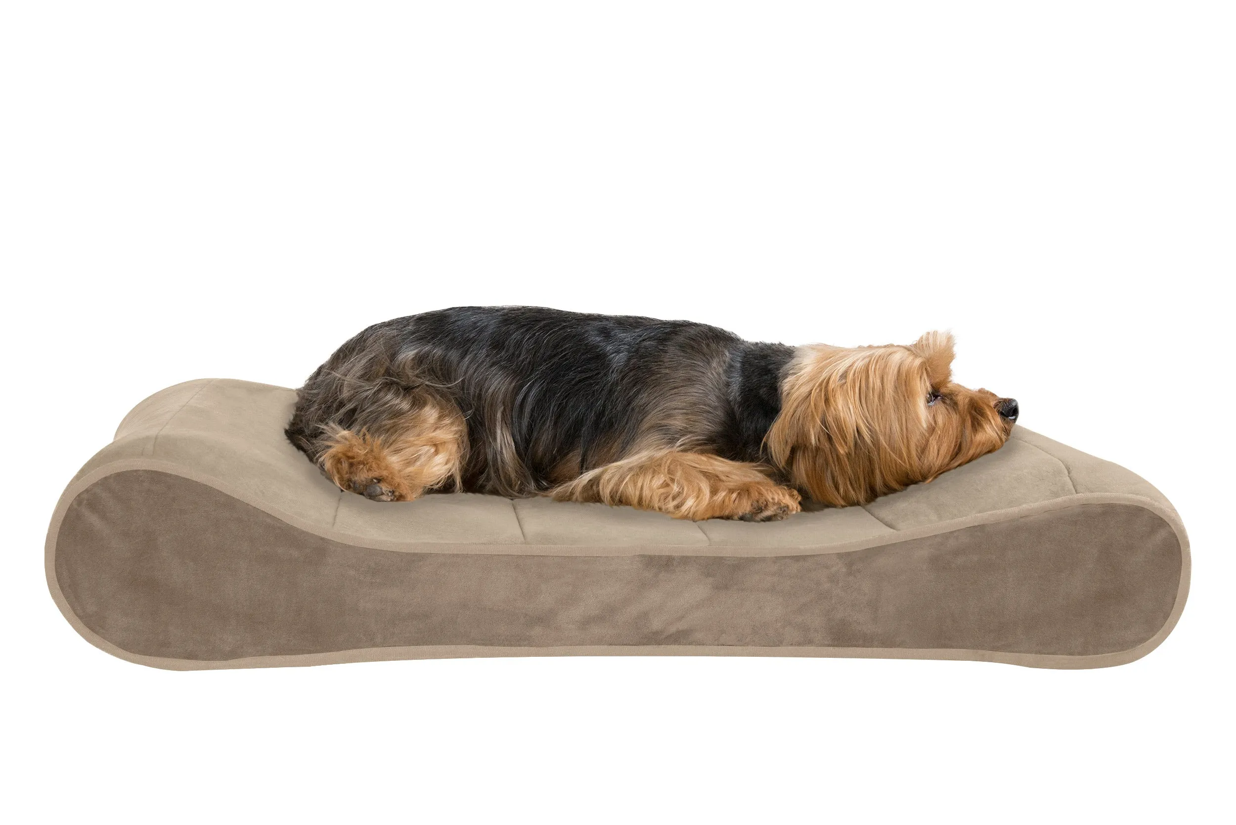 Luxe Lounger Contour Dog Bed - Microvelvet