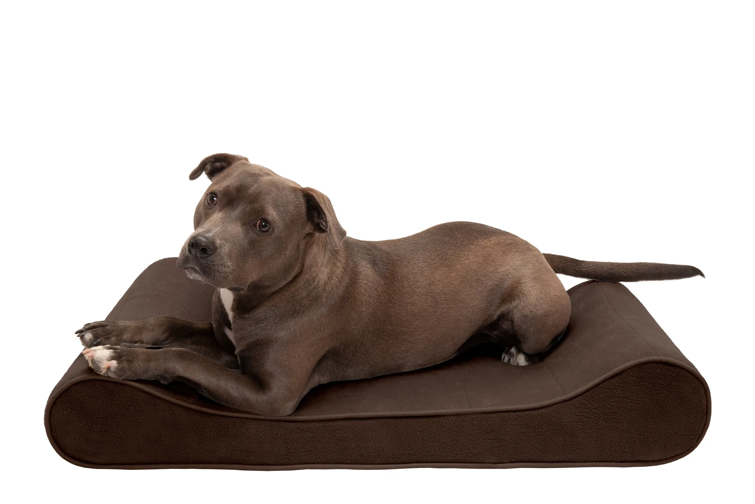 Luxe Lounger Contour Dog Bed - Microvelvet