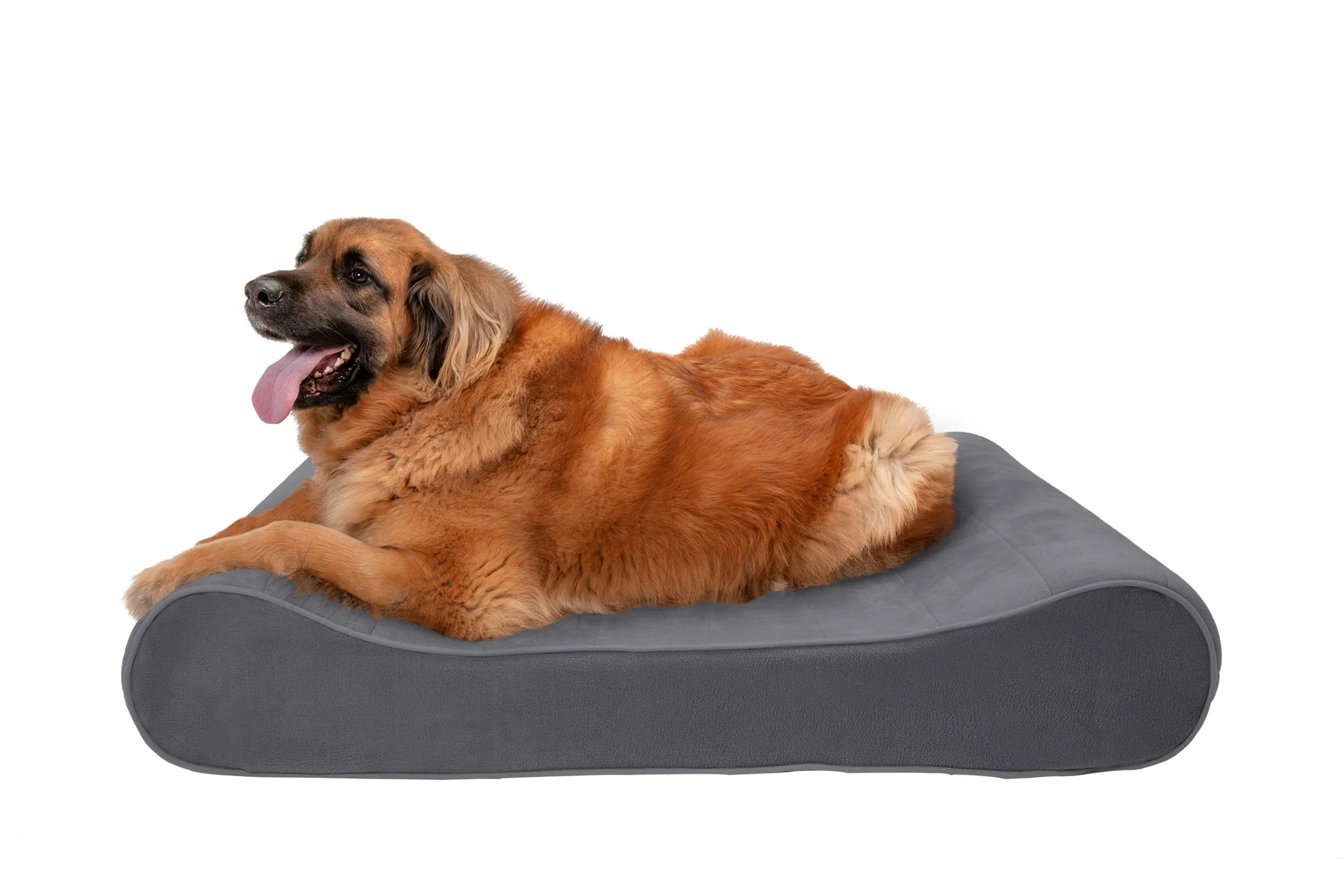 Luxe Lounger Contour Dog Bed - Microvelvet