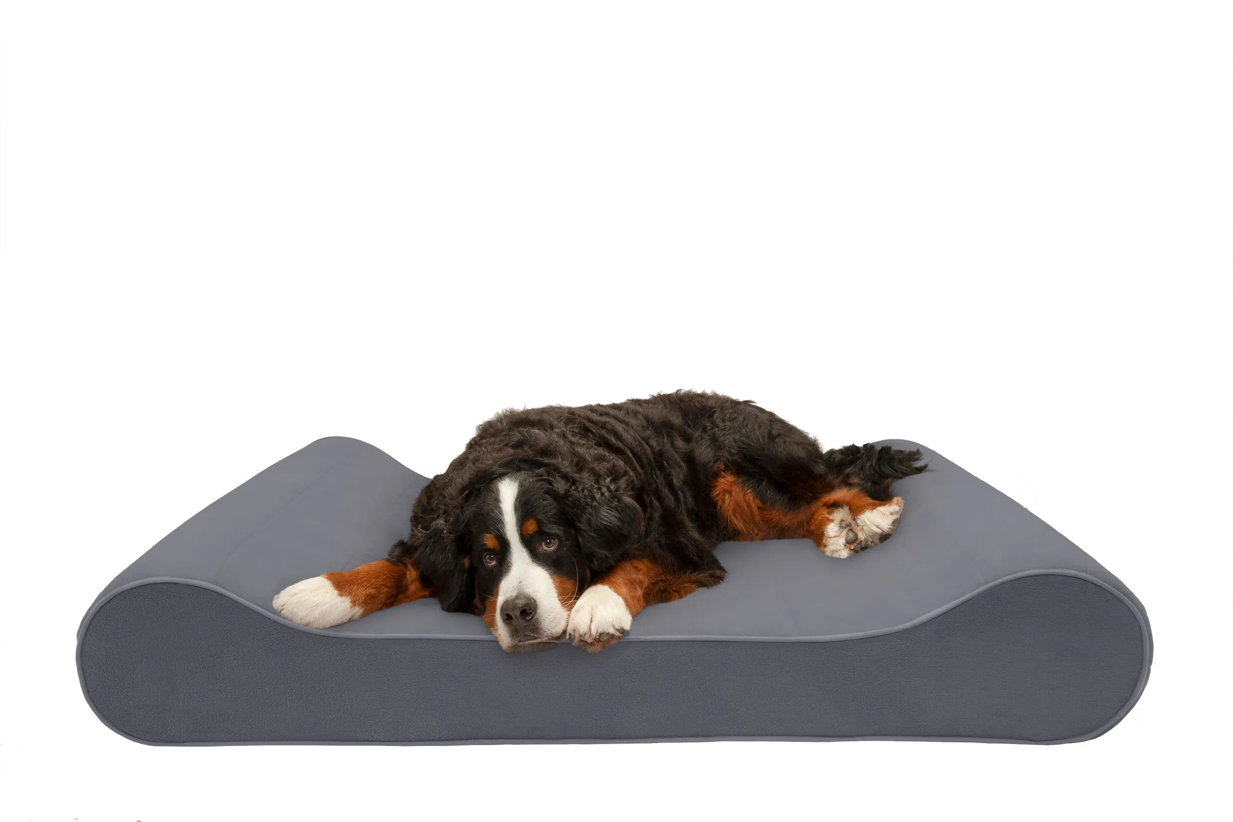 Luxe Lounger Contour Dog Bed - Microvelvet