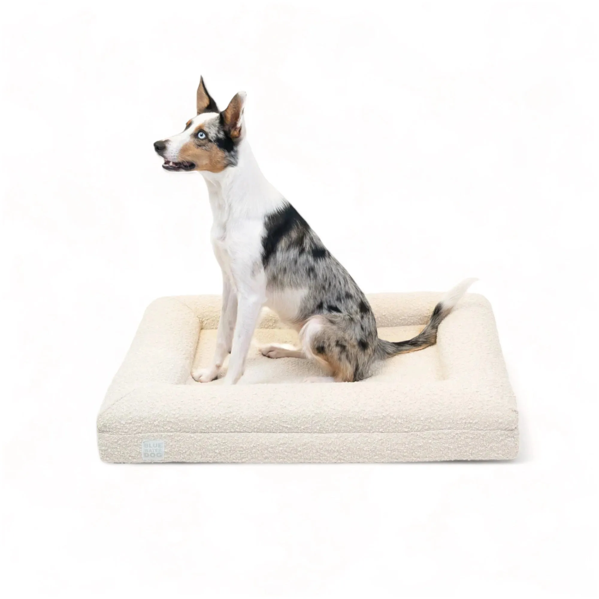 Medium Luxury Bouclé Orthopedic Bluewater Dog Bed (Cloud)