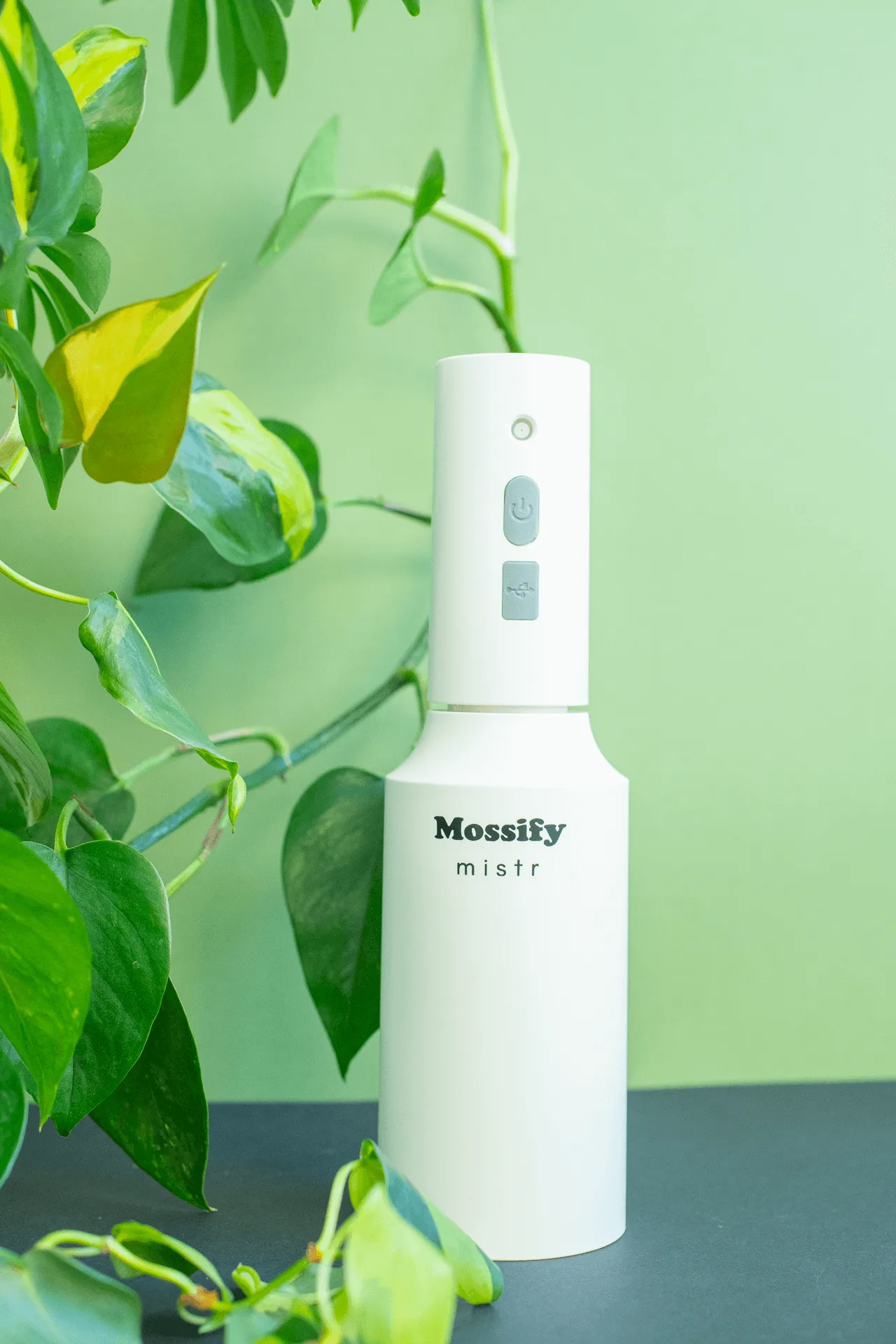 Mistr: Battery Spray Mister