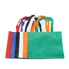 Non Woven Bag (31.5 x 40 x 9)