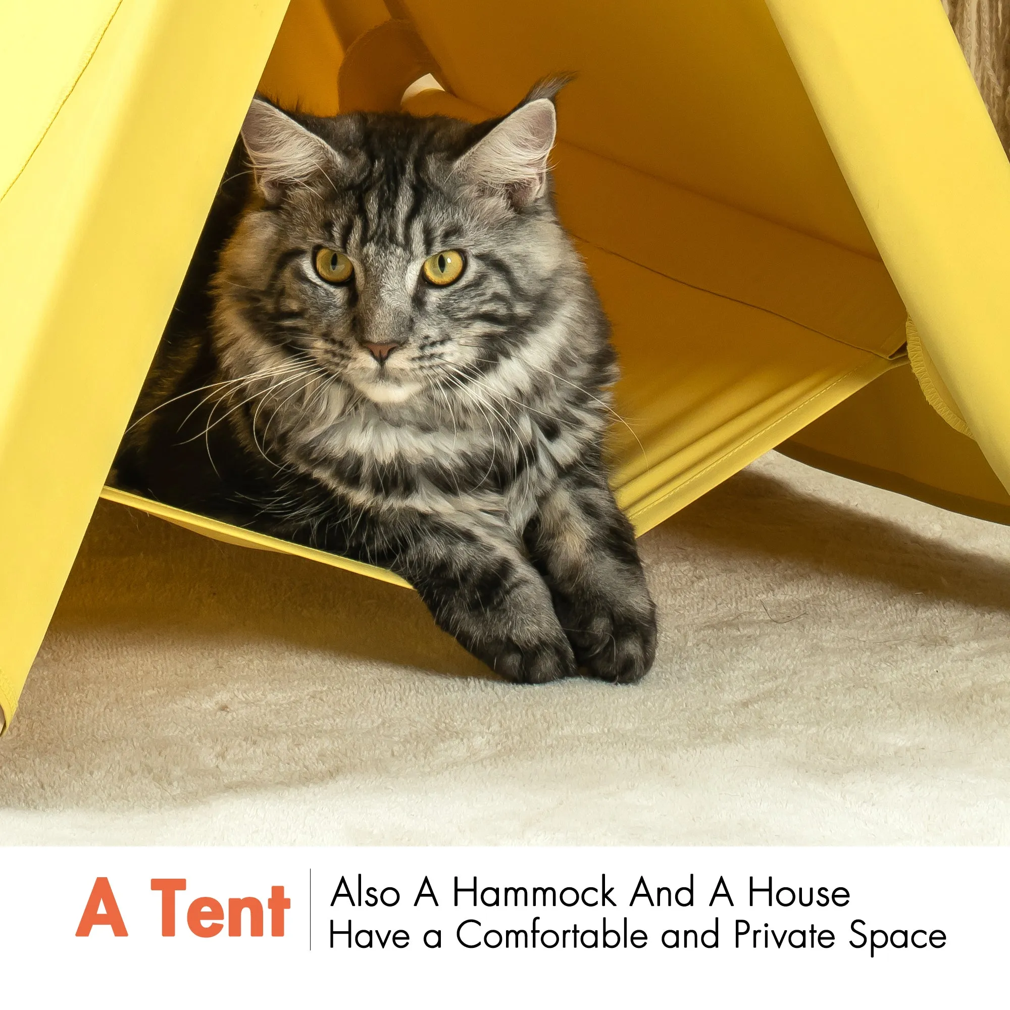 Pet Tent