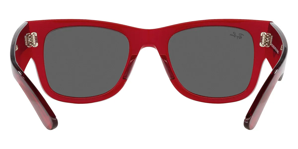 Ray-Ban® Mega Wayfarer RB0840SF