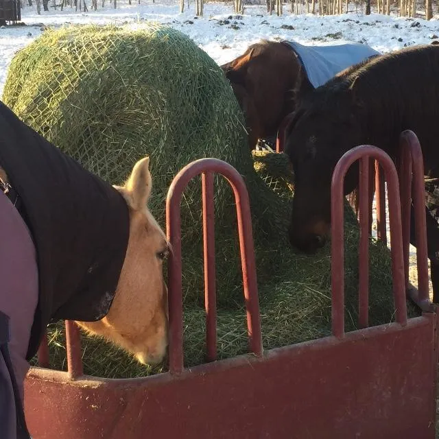 Round Bale Bag