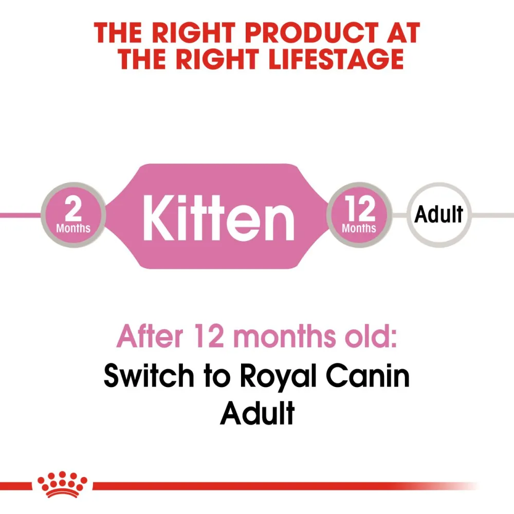 Royal Canin Kitten Jelly and Kitten Loaf Cat Wet Food Combo