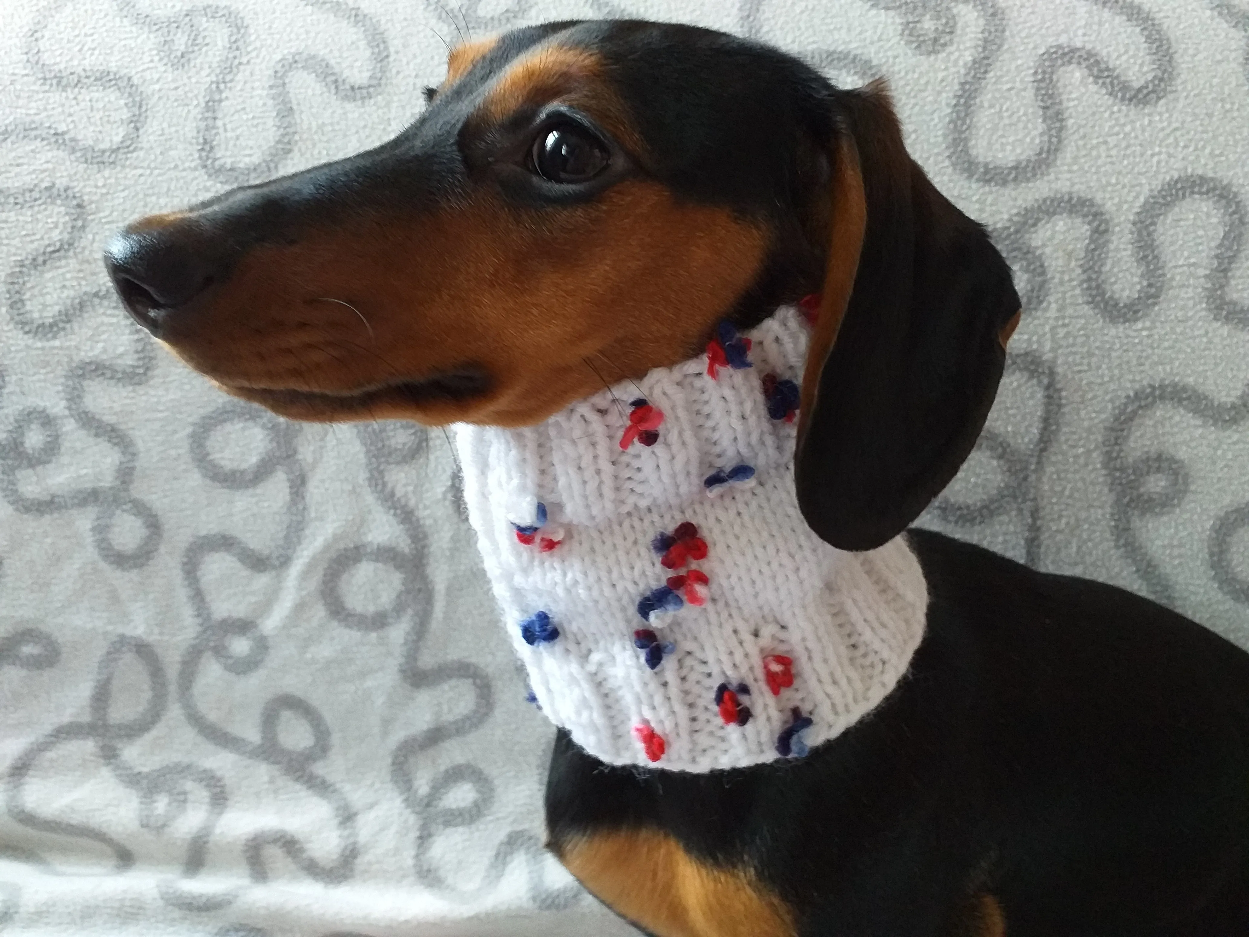 Scarf snood for dog with butterflies and flowers, scarf snood for small dogs, snood for dachshund, scarf for dachshund