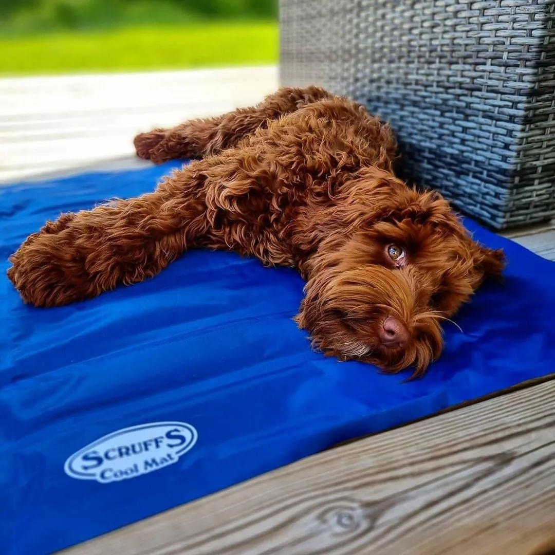 Scruffs Cooling Mat