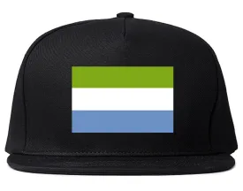 Sierra Leone Flag Country Printed Snapback Hat Cap