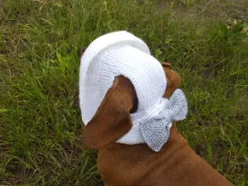 Summer knitted hat for dogs, panama for dogs,  hat for dog