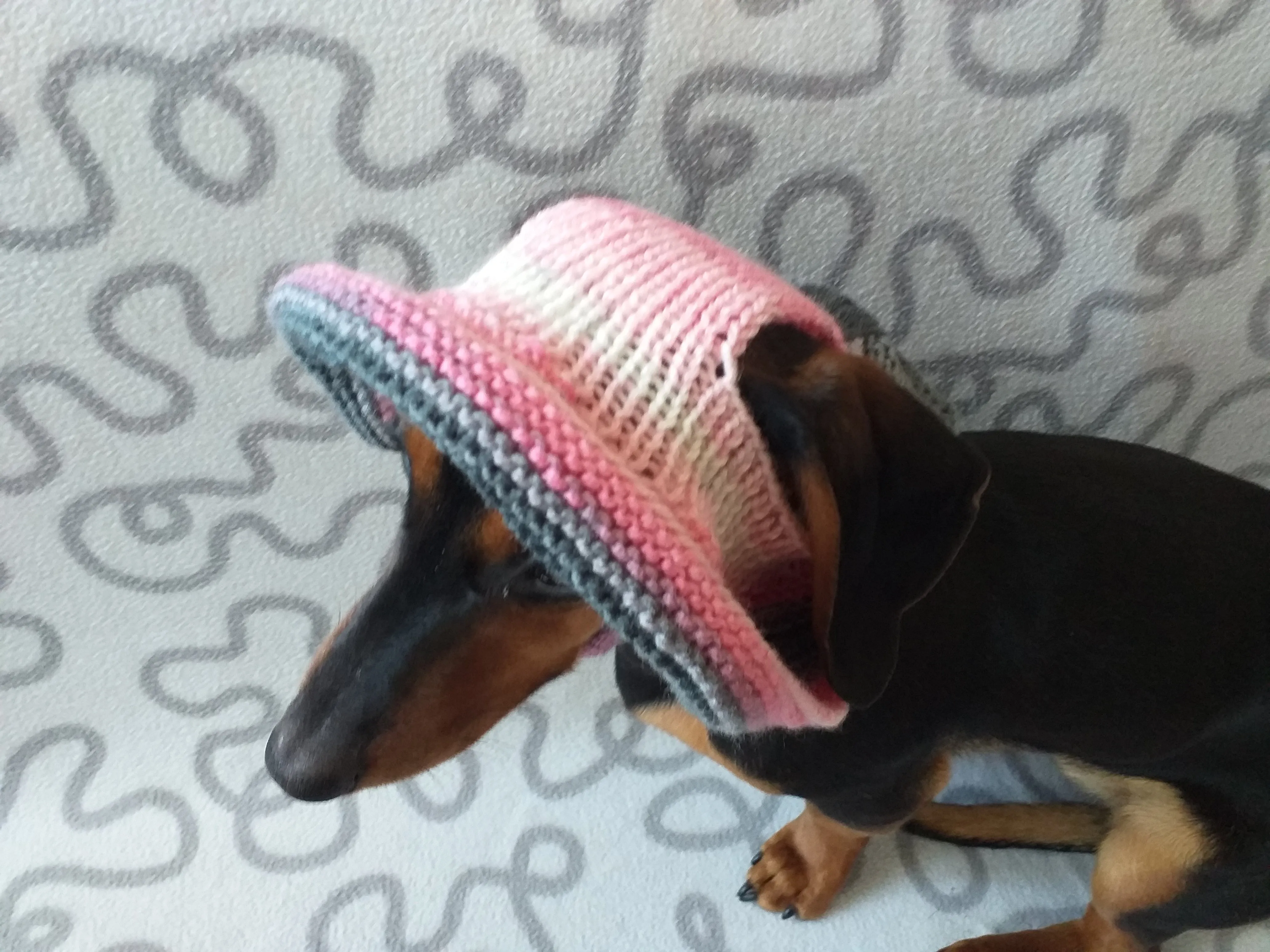 Summer knitted hat for dogs, panama for dogs, hat for dogs, hat for dachshund, accessories for dogs, gift for dogs, dog clothes,hat the sun