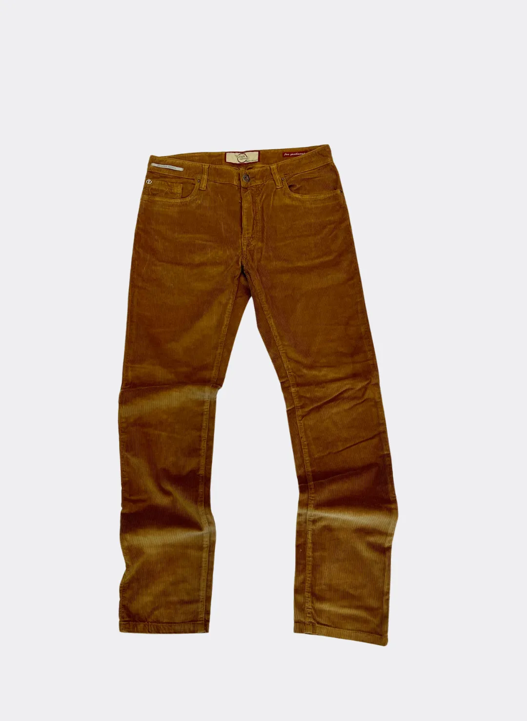 Teleria Zed Cobra Corduroy Pant in Brown