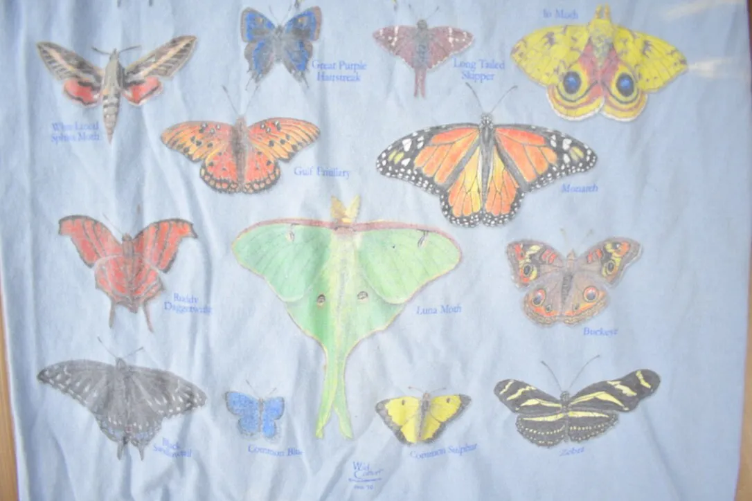 Vintage 1990s Lepidoptera Butterfly Encyclopedia Single Stitch Graphic T-Shirt