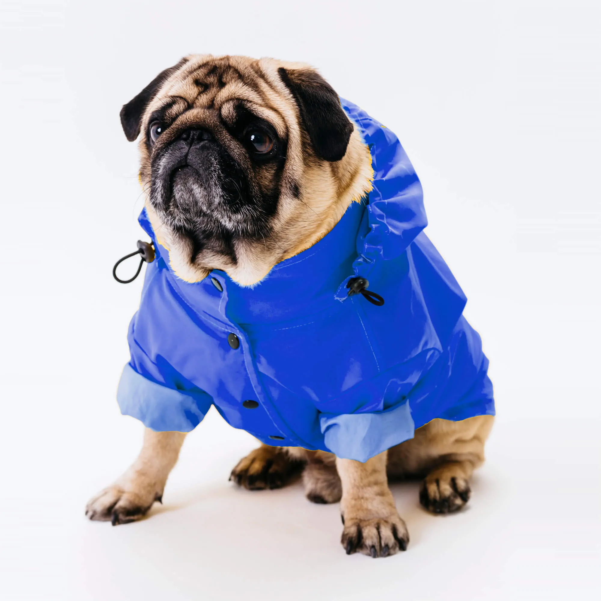 Waterproof dog suit