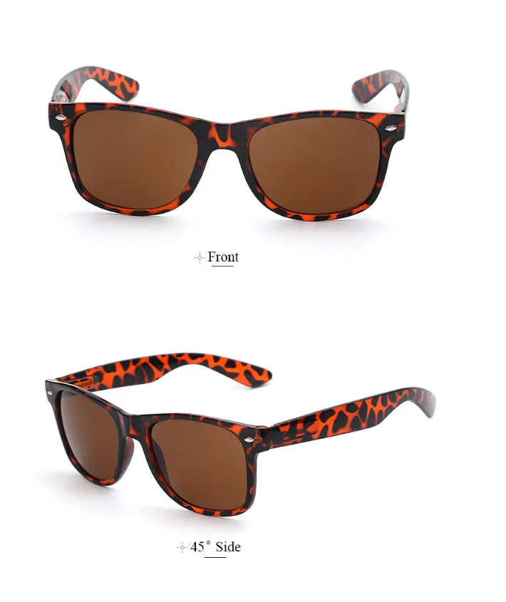 Wayfarer Sunglasses