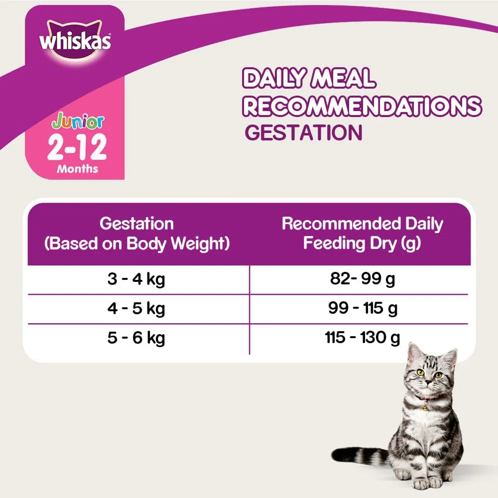 Whiskas Mackerel Flavour Dry Food for Mother and Baby Cat